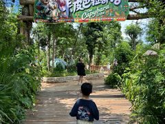 -海南热带野生动植物园