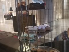 -北纬29度大堂吧-重庆富力艾美酒店-近江岸天街