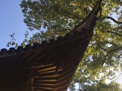 -常州古运河南大街文化旅游区-人民公园