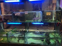 水产区-凤城礼记鱼翅海鲜酒家(新马路总店)