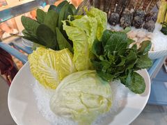 -喜聚薈·花膠雞海鮮火鍋(越秀店)