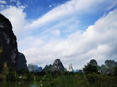 -明仕田园