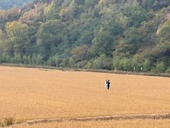 -南泥湾风景区