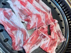 -杨记齐齐哈尔烤肉(总店)