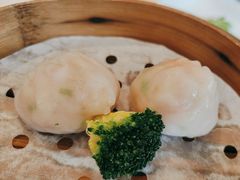 -南海渔村(珠江新城店)