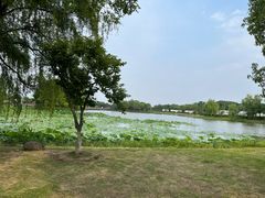 -梁鸿国家湿地公园