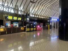 -金逸影城(武汉人信汇IMAX店)