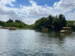 -上海共青森林公园