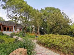 -上海市保健医疗中心