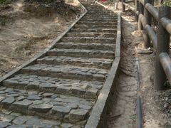 -上海佘山国家森林公园天马山园