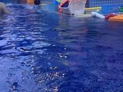 -龙格亲子游泳•水育早教运动中心