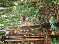 -深圳仙湖植物园