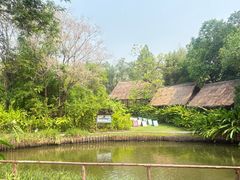 -大象粑粑造纸公园