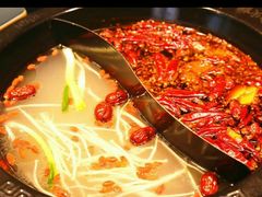 -小龙坎老火锅(金柏林店)