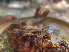 -水库活鱼馆(于桥水库店)