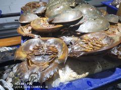 -Jomtien Talay Pao Pattaya
