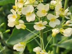 -中国天府农业博览园