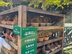 -野象谷景区