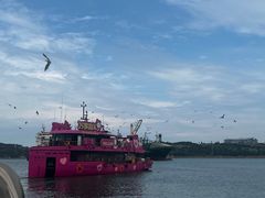 -海驴岛(荣成市)