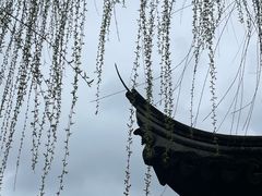 -张家港凤凰山景区恬庄古街