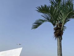 -日照灯塔风景区