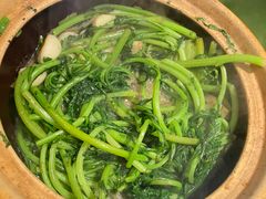 -煲煲好(朝阳门店)