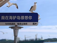 -海驴岛(荣成市)