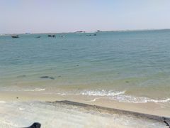 -北海金海湾红树林生态旅游区