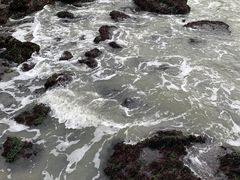 -蓬莱欧乐堡海洋极地世界