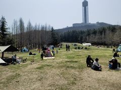 -子霖南山鲜虾面(南山总店)