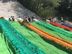 -梦幻奥陶纪景区