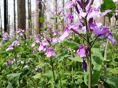 -祥源·阜阳生态乐园