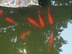 android_upload_pic-兴福禅寺