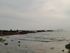 -青岛第二海水浴场