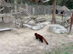 -上海野生动物园