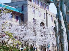 -武汉大学-樱园