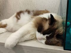 -猫的天空之城概念书店(苏州平江店)