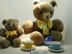 -成都泰迪熊博物馆