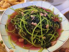 有机蔬菜-白沙菜市场