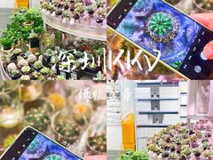 -KKV(深圳kk one 店)