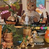 义乌美食｜工商学院附近的韩料！太正宗了吧！