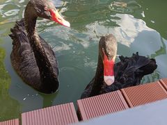 -海合安武汉极地海洋公园