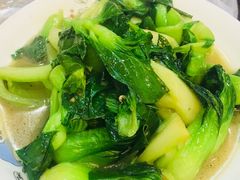 -老品芳