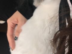 -MOLLY'S萌宠生活馆