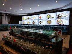 -饭怕鱼·黄焖鲟龙鱼(湖大店)