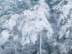 -庐山风景名胜区