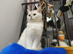 -联合动物医院(光谷诊疗中心)