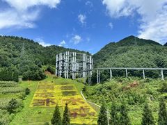 -玉舍国家森林公园