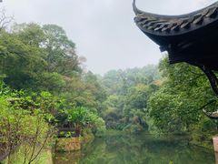 -常德桃花源景区