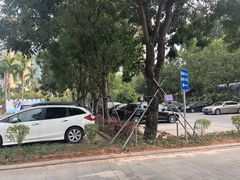 -棕榈泉国际高尔夫学院